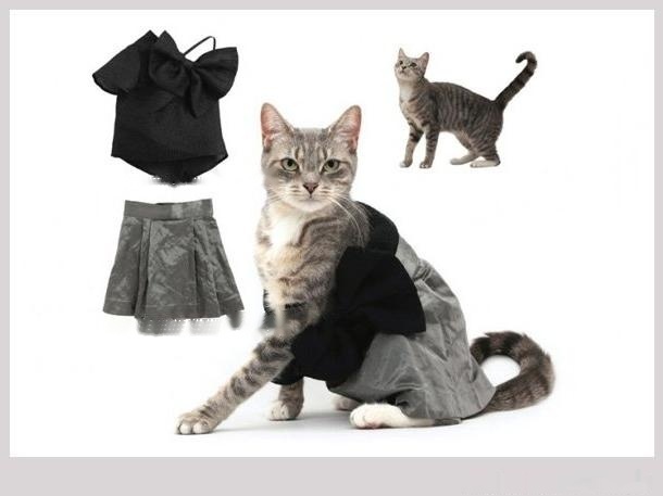 [Meow